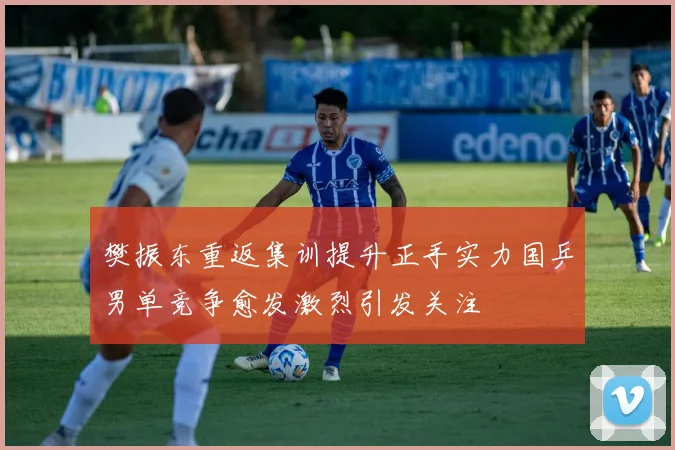 樊振东重返集训提升正手实力国乒男单竞争愈发激烈引发关注