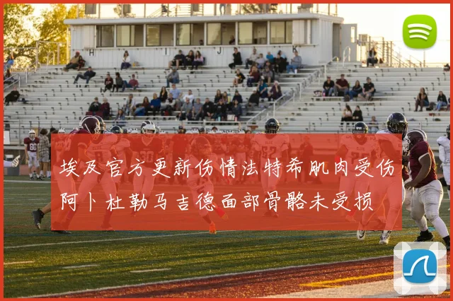 埃及官方更新伤情法特希肌肉受伤阿卜杜勒马吉德面部骨骼未受损