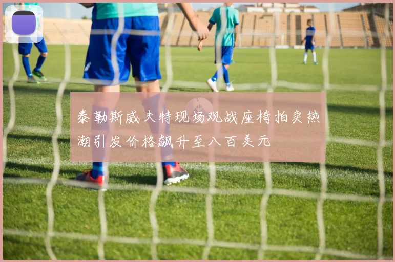 泰勒斯威夫特现场观战座椅拍卖热潮引发价格飙升至八百美元